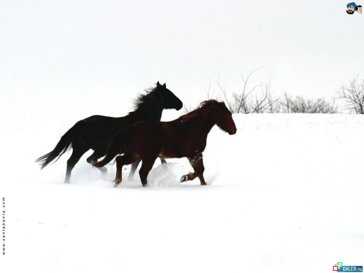 352869 (a): :1024x768